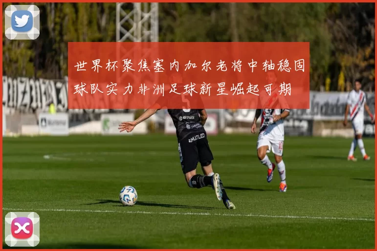世界杯聚焦塞内加尔老将中轴稳固球队实力非洲足球新星崛起可期